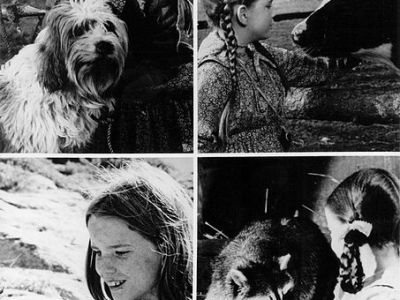 Someone Doesn’t Like Laura Ingalls&nbsp;Wilder