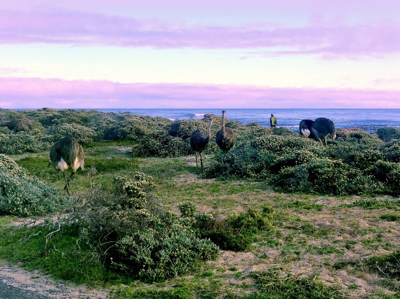 1_BIUFZOBVaRDwmSsIlEiWhA