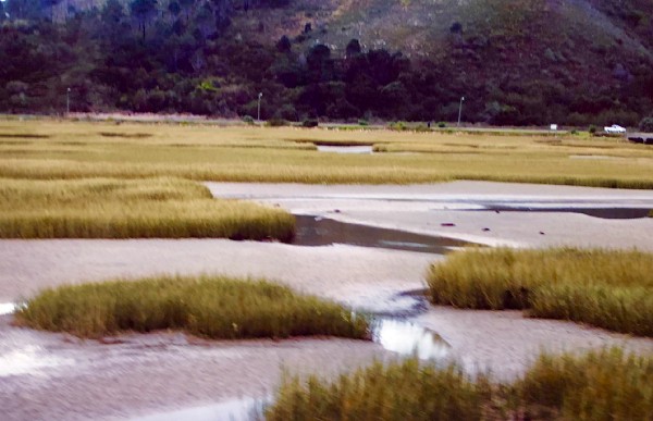 1_dCiCeCUJ0p1nTKA6PNKWOg