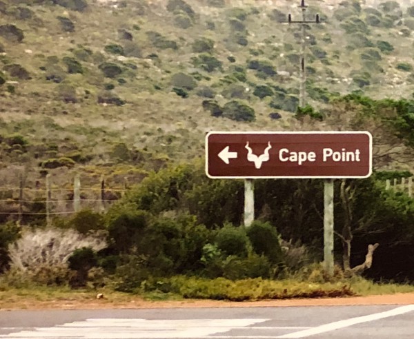 1_FeZTkPfLrVCvq4TdoGfmJA