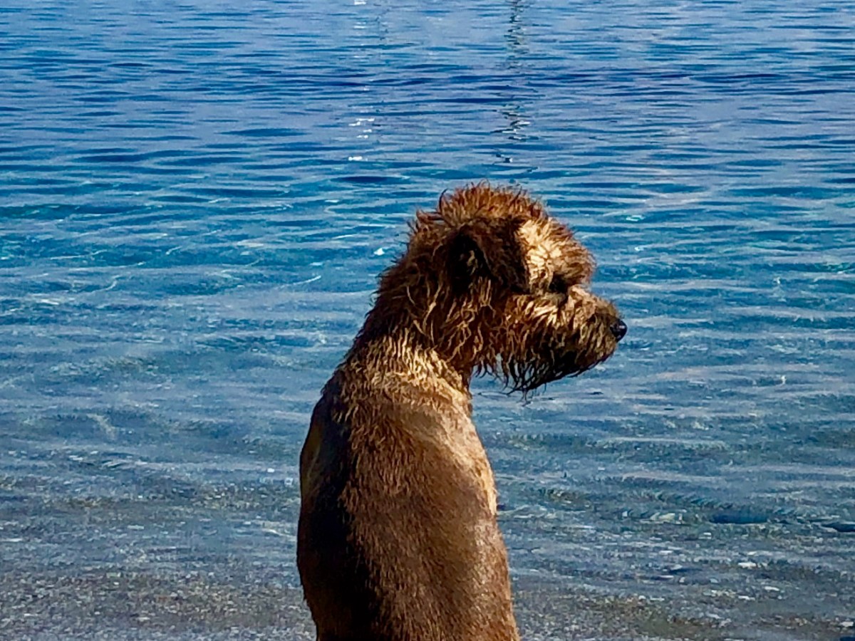 Stafilos Beach for the&nbsp;Win