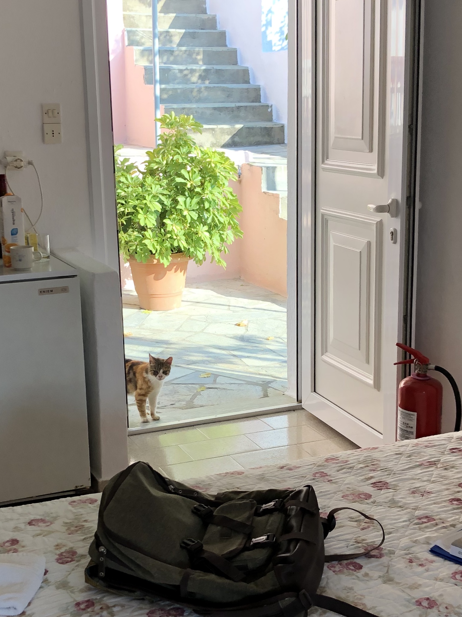 A0C9A45D-C103-41D8-BE43-88B37062D010